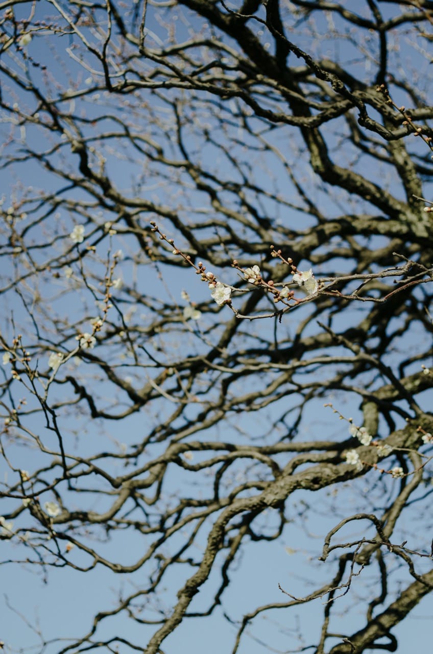 Превью Tokyo 2024